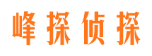 新城市调查公司